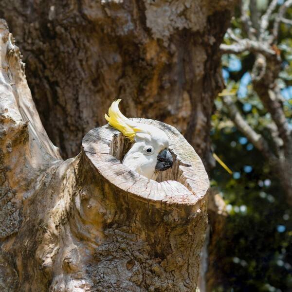 Подборка картинок. Вечерний выпуск - 15.01.2026