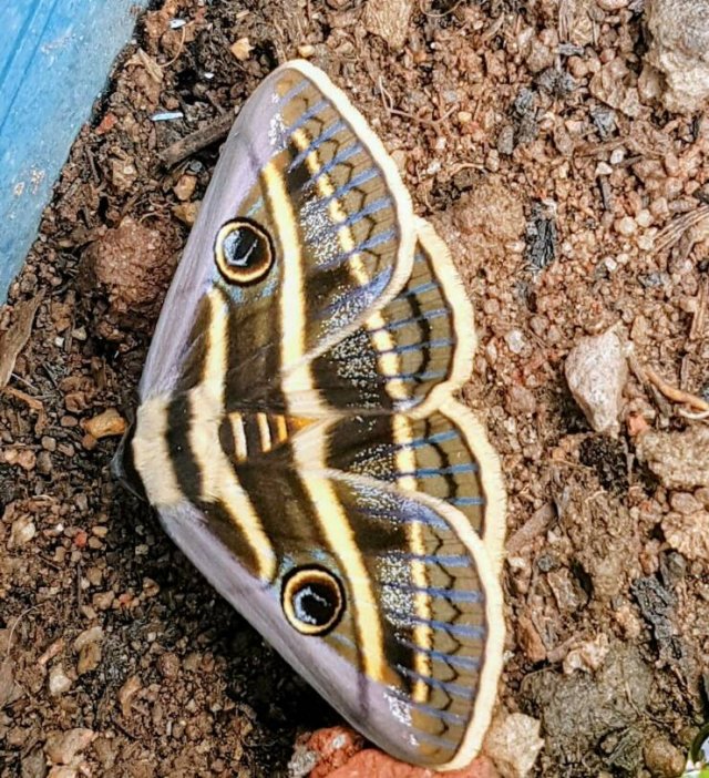 Подборка картинок. Вечерний выпуск - 15.01.2026