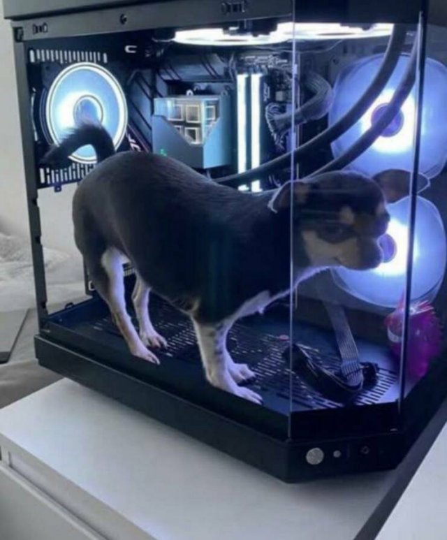 Подборка картинок. Вечерний выпуск - 15.01.2026