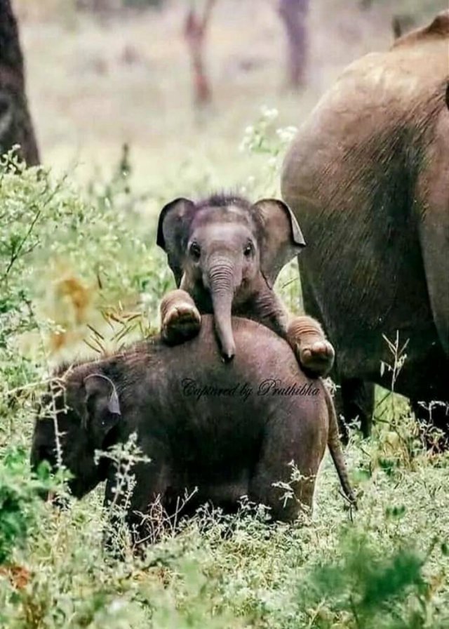 Подборка картинок. Вечерний выпуск - 15.01.2026