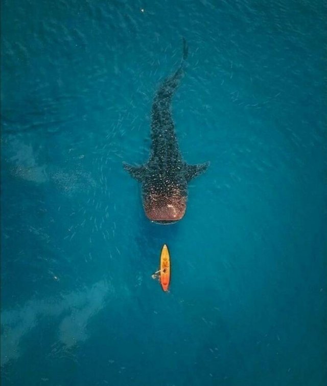 Подборка картинок. Вечерний выпуск - 15.01.2026