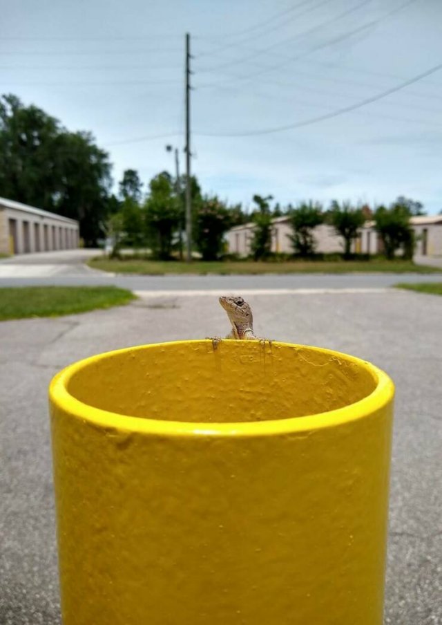 Подборка картинок. Вечерний выпуск - 15.01.2026