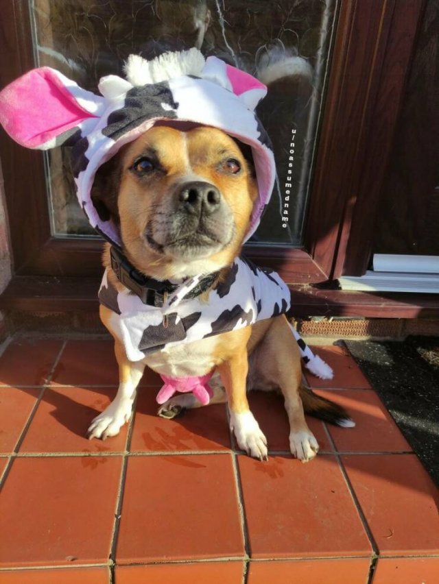 Подборка картинок. Вечерний выпуск - 15.01.2026