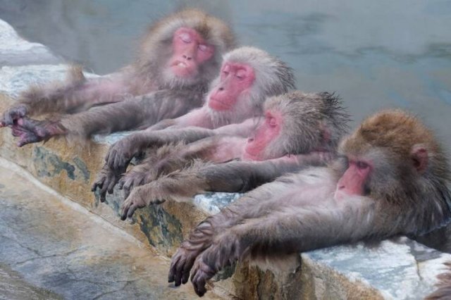 Подборка картинок. Вечерний выпуск - 15.01.2026