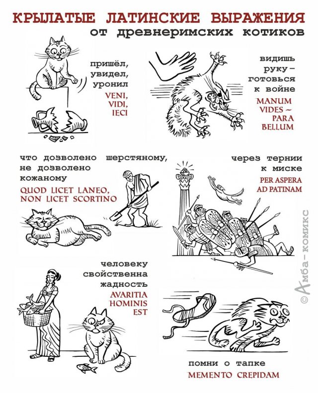 Лучшие картинки и мемы из Сети - 15.01.2026