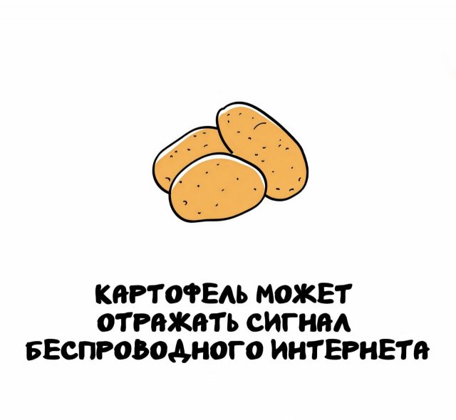 Интересные факты на все случаи жизни