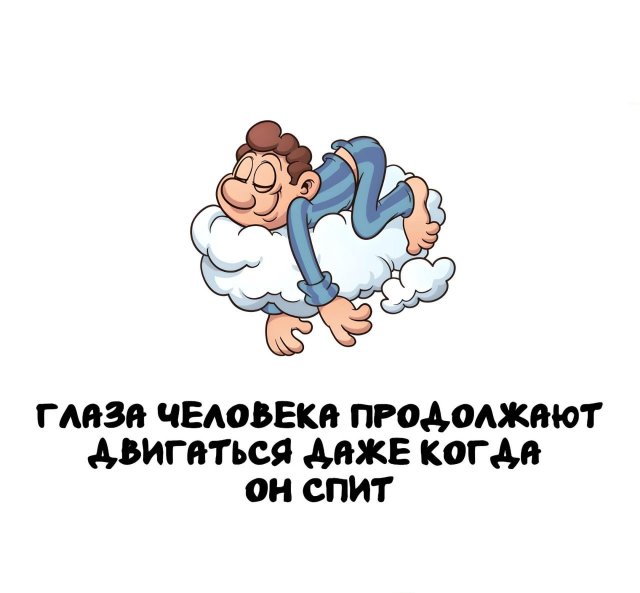 Интересные факты на все случаи жизни