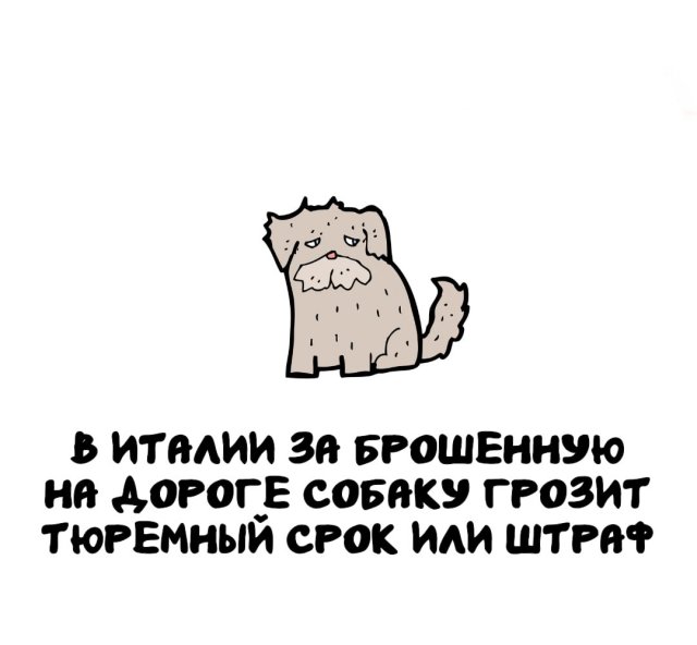 Интересные факты на все случаи жизни