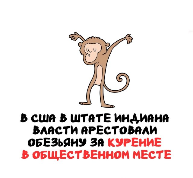 Интересные факты на все случаи жизни