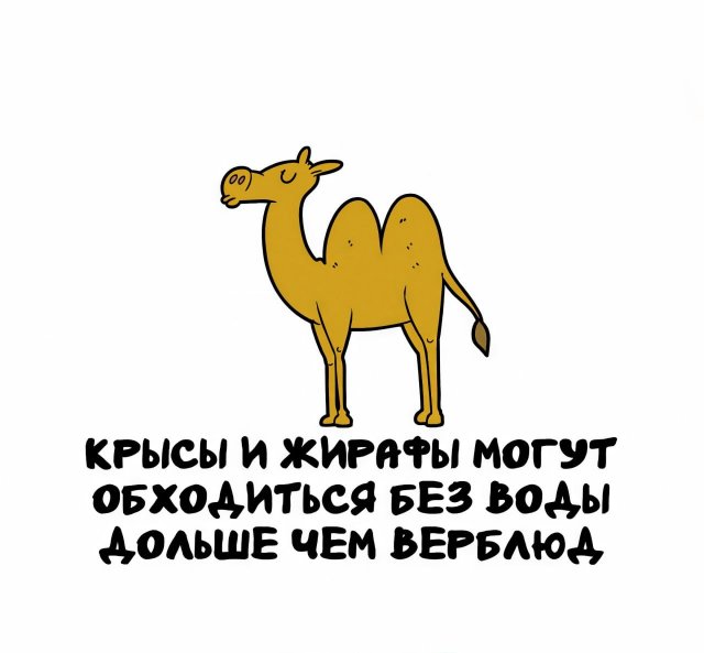 Интересные факты на все случаи жизни