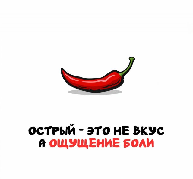 Интересные факты на все случаи жизни