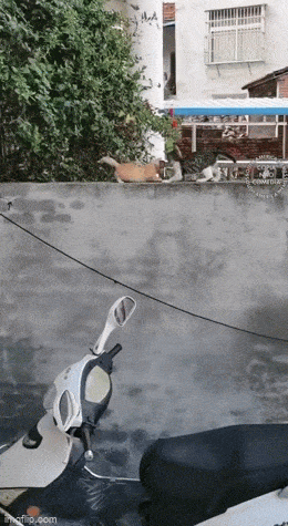 Гифки, чтобы залипнуть