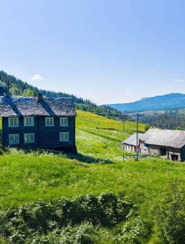 Хотели бы здесь жить?