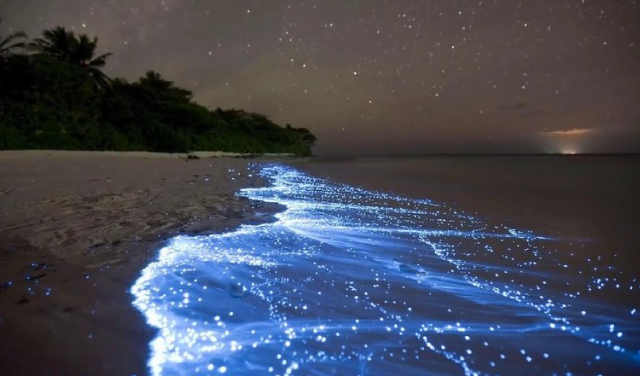 Светящийся пляж на Мальдивах