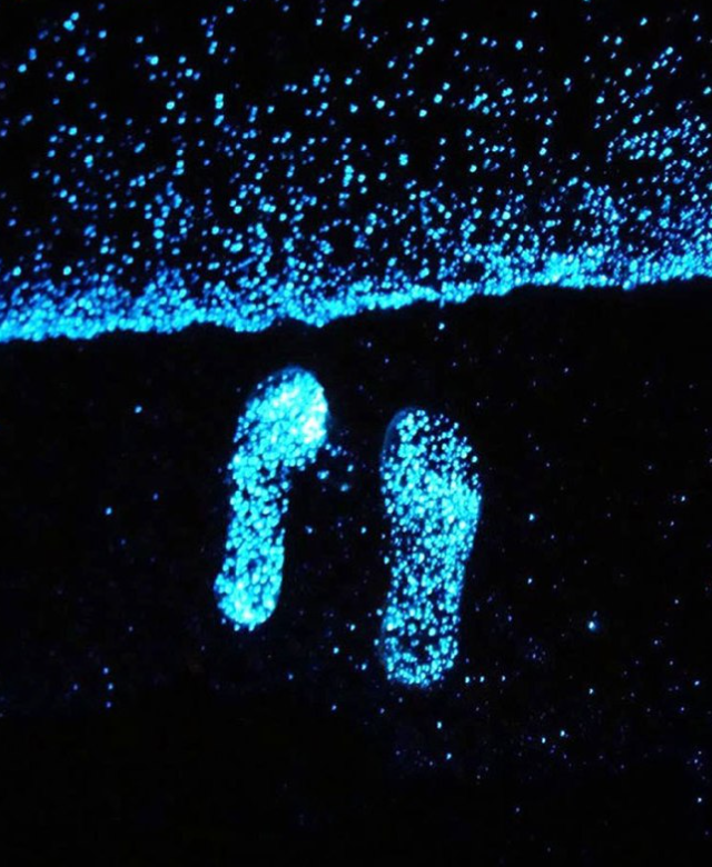 Светящийся пляж на Мальдивах