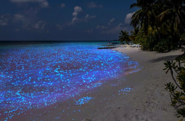 Светящийся пляж на Мальдивах