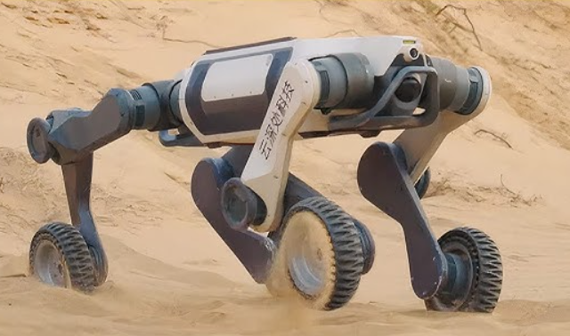 Китайский робот Lynx M20