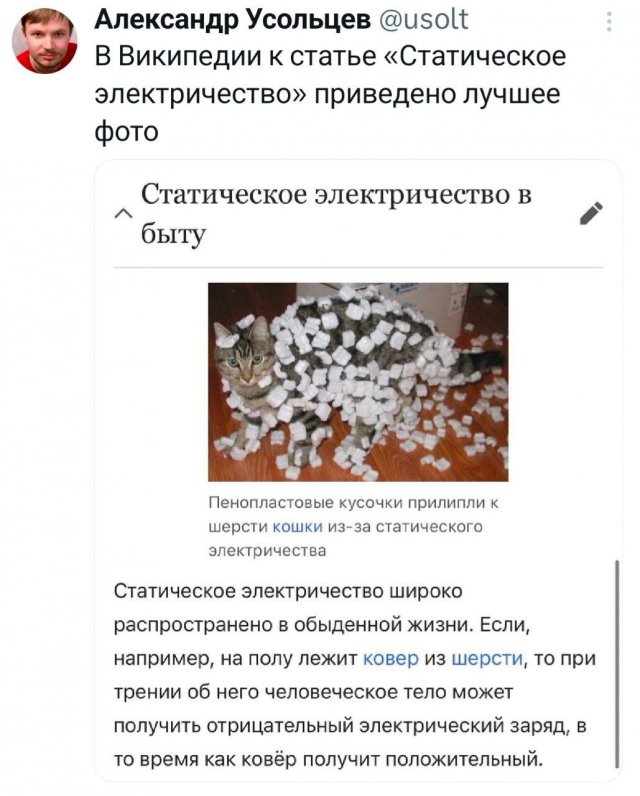 Подборка забавных твитов обо всем