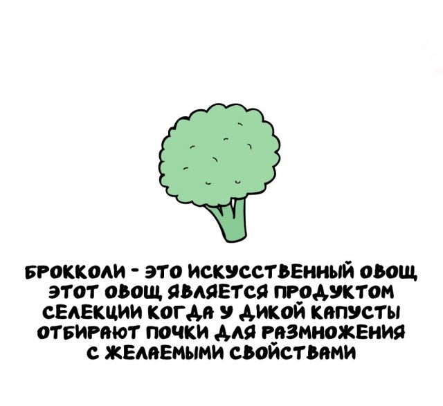 Интересные факты на все случаи жизни