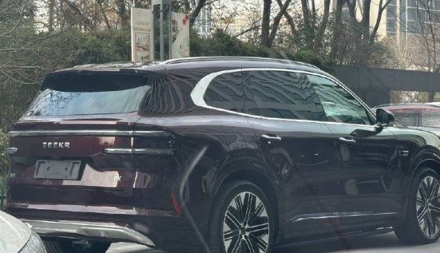 Новый Zeekr 8X
