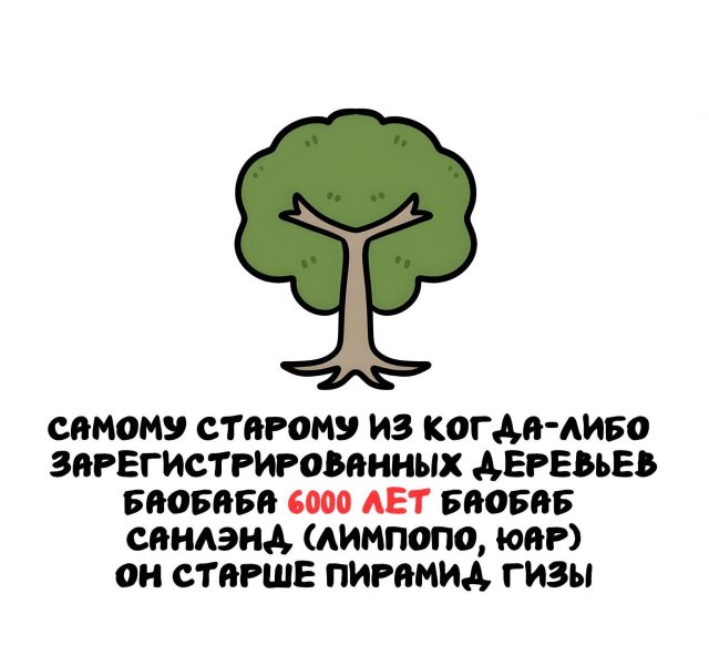 Интересные факты на все случаи жизни