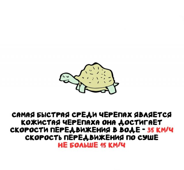 Интересные факты на все случаи жизни