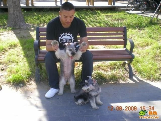 Подборка картинок. Вечерний выпуск - 23.01.2026