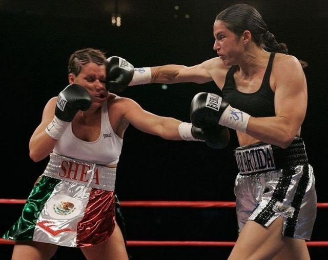 Подборка картинок. Вечерний выпуск - 23.01.2026