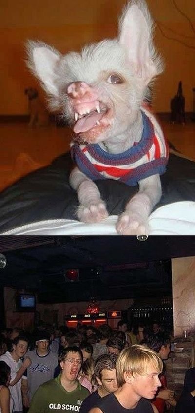 Подборка картинок. Вечерний выпуск - 23.01.2026