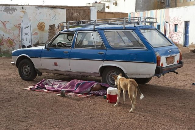 Подборка картинок. Вечерний выпуск - 23.01.2026