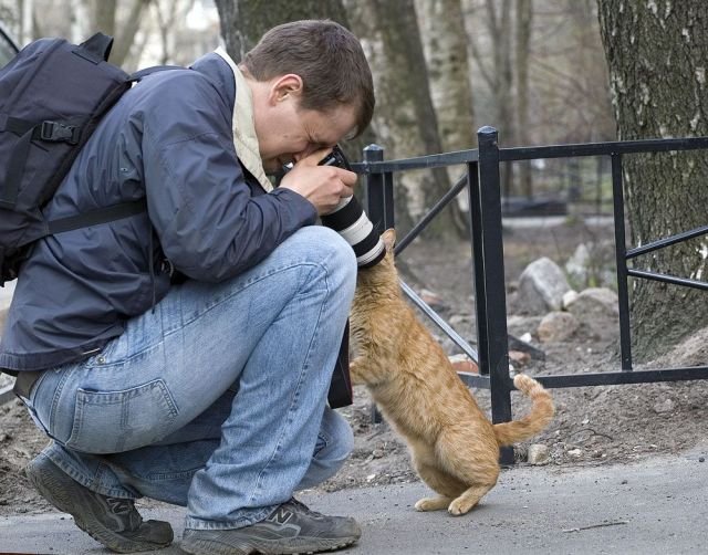 Подборка картинок. Вечерний выпуск - 23.01.2026