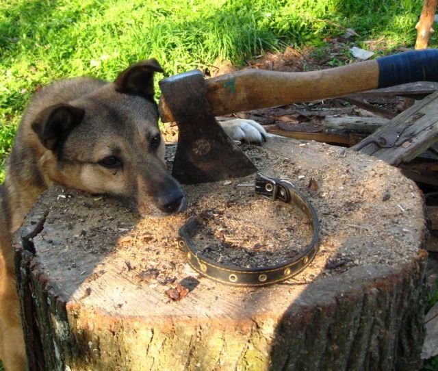 Подборка картинок. Вечерний выпуск - 23.01.2026