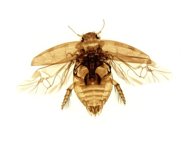 Подборка картинок. Вечерний выпуск - 23.01.2026