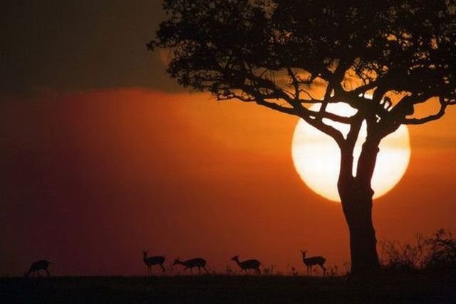 Подборка картинок. Вечерний выпуск - 23.01.2026