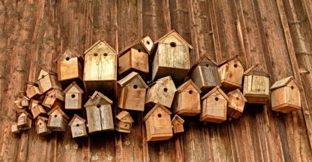 Подборка картинок. Вечерний выпуск - 23.01.2026