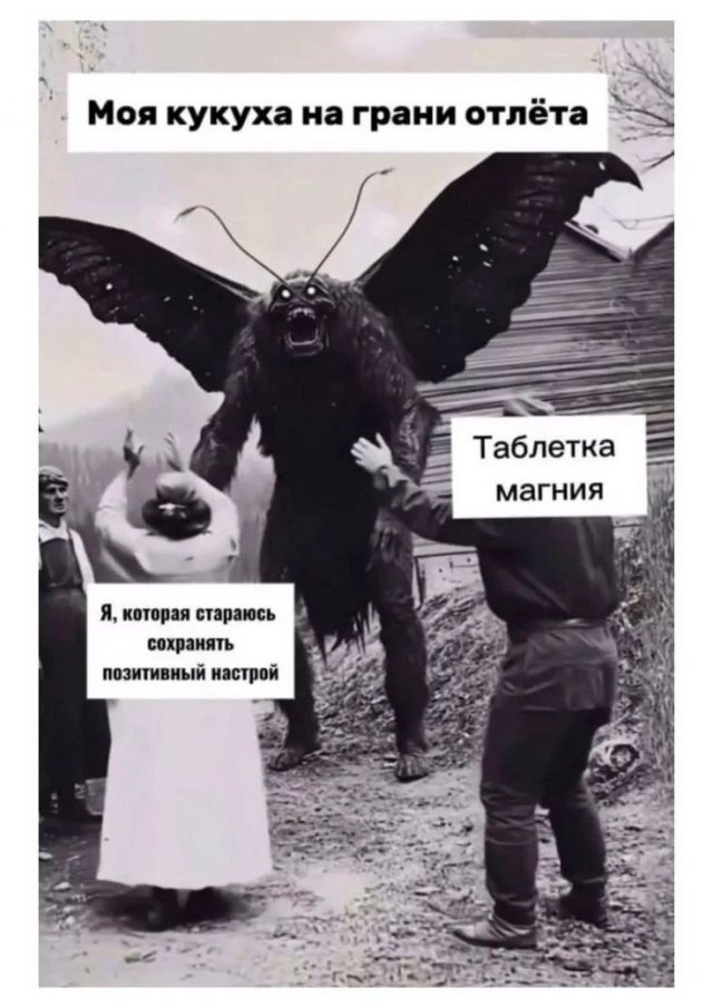 Лучшие шутки и мемы из Сети - 23.01.2026