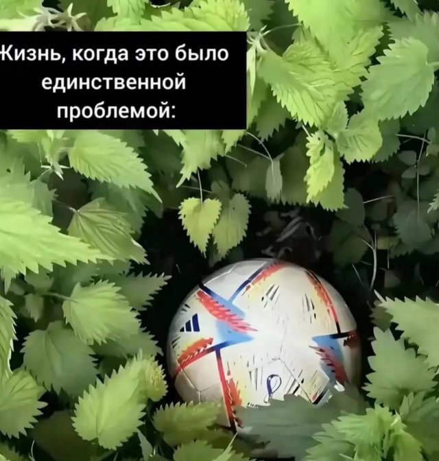 Лучшие шутки и мемы из Сети - 23.01.2026