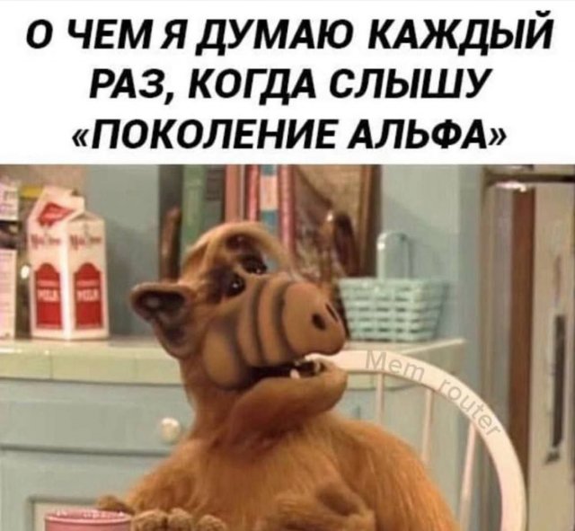 Смешные мемы - 26.01.2026