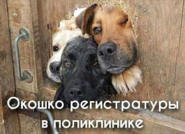 Лучшие шутки и мемы из Сети - 27.01.2026