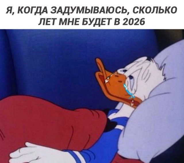 Смешные мемы - 29.01.2026