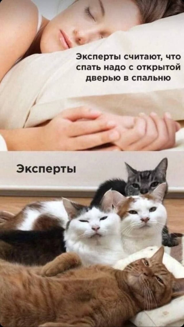 Лучшие шутки и мемы из Сети - 29.01.2026