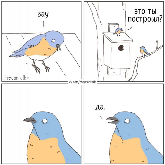 Лучшие шутки и мемы из Сети - 29.01.2026