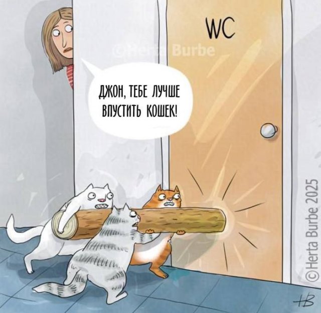Лучшие шутки и мемы из Сети - 29.01.2026