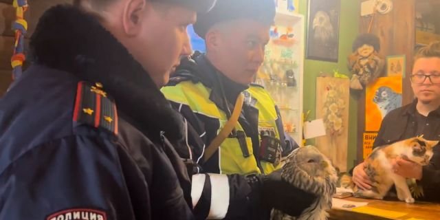 полицейские спасли сову