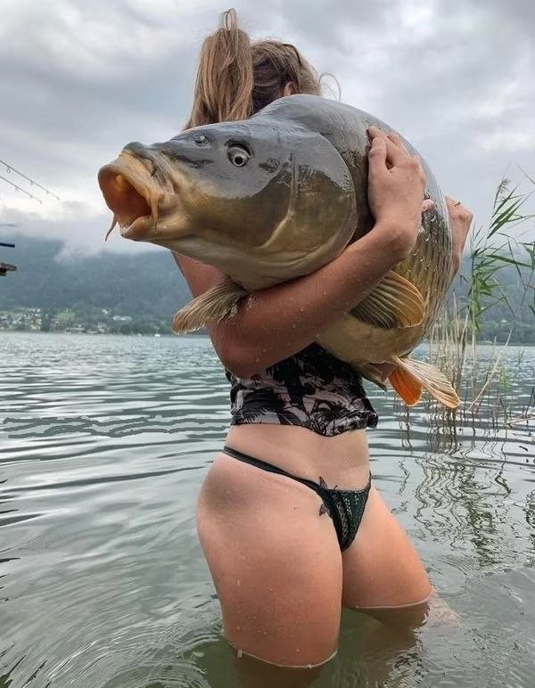 Лучшие шутки и мемы  - 30.01.2026