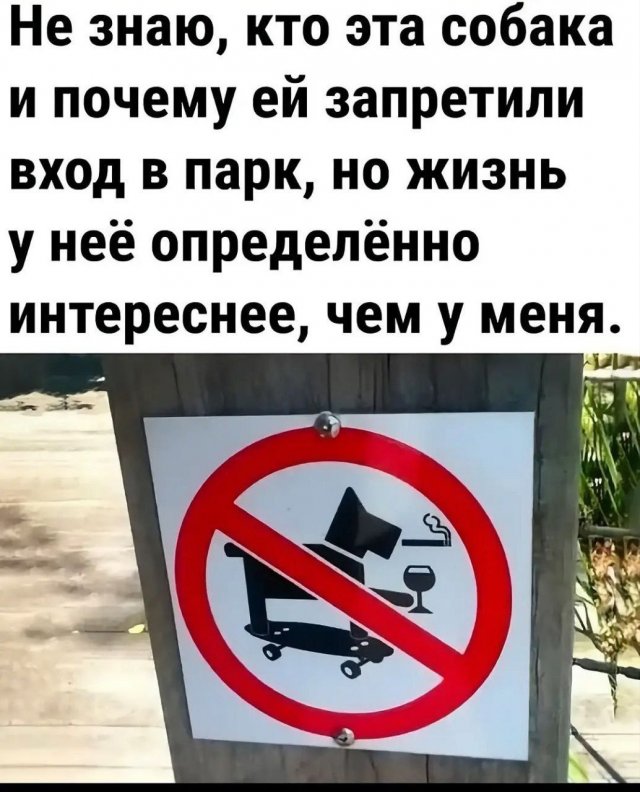 Лучшие шутки и мемы  - 30.01.2026