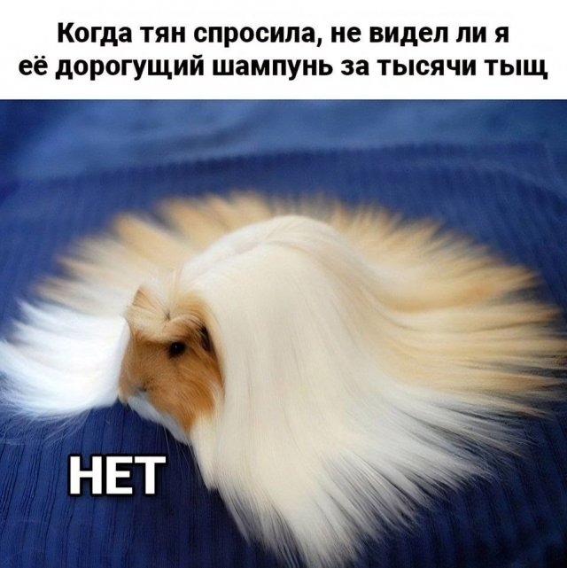 Лучшие шутки и мемы  - 30.01.2026