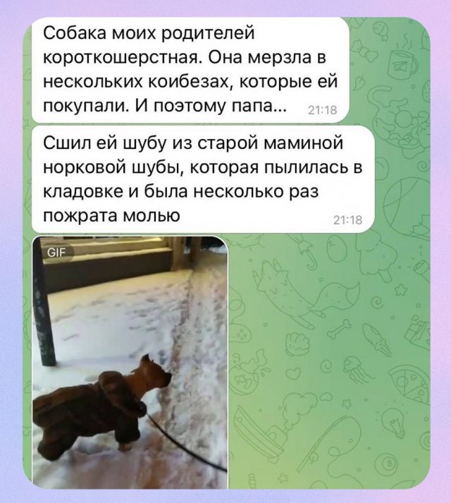 История старой норковой шубы