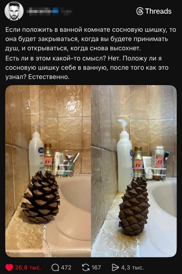 Подборка картинок. Вечерний выпуск - 03.02.2026