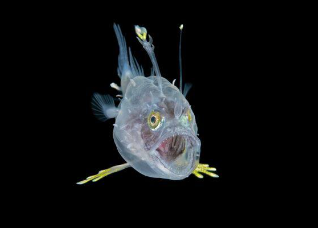 Конкурс фотографий океана